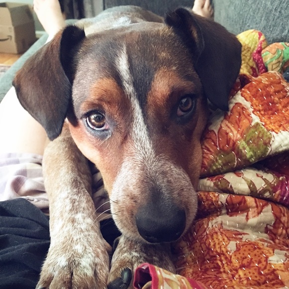 Meet your Posher, Amanda - Picture 1 of 1